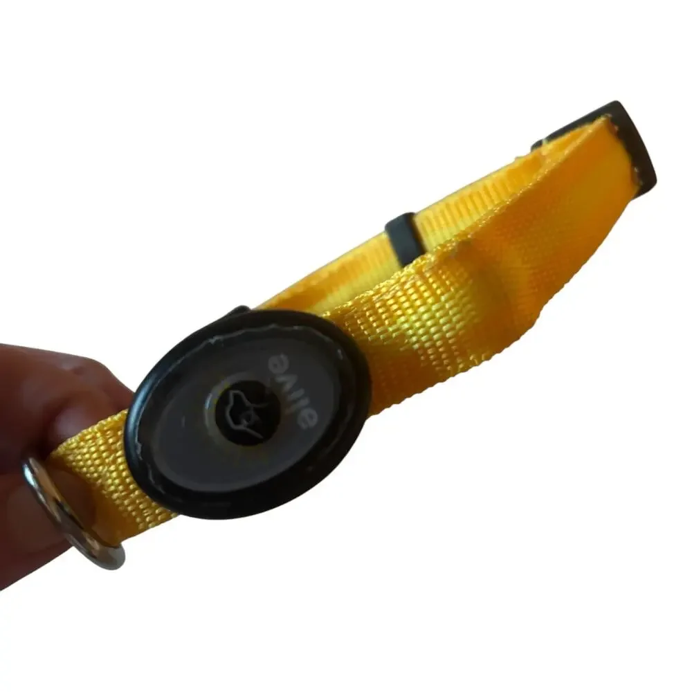 Elive Yellow LED Dog Collar 3/4" width Adjustable M 15" - 20" - Picture 2 of 6